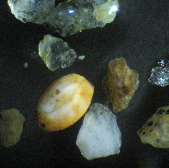 Sabbia.... fossile?